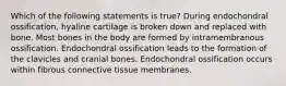 Which of the following statements is true? During endochondral ossification, hyaline cartilage is broken down and replaced with bone. Most bones in the body are formed by intramembranous ossification. Endochondral ossification leads to the formation of the clavicles and cranial bones. Endochondral ossification occurs within fibrous connective tissue membranes.