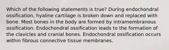 Which of the following statements is true? During endochondral ossification, hyaline cartilage is broken down and replaced with bone. Most bones in the body are formed by intramembranous ossification. Endochondral ossification leads to the formation of the clavicles and cranial bones. Endochondral ossification occurs within fibrous connective tissue membranes.