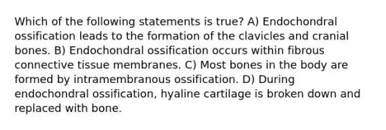 Which of the following statements is true? A) Endochondral ossification leads to the formation of the clavicles and cranial bones. B) Endochondral ossification occurs within fibrous connective tissue membranes. C) Most bones in the body are formed by intramembranous ossification. D) During endochondral ossification, hyaline cartilage is broken down and replaced with bone.