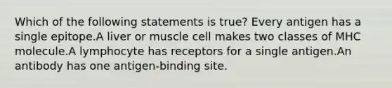 Which of the following statements is true? Every antigen has a single epitope.A liver or muscle cell makes two classes of MHC molecule.A lymphocyte has receptors for a single antigen.An antibody has one antigen-binding site.