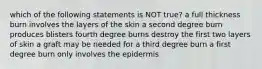 which of the following statements is NOT true? a full thickness burn involves the layers of the skin a second degree burn produces blisters fourth degree burns destroy the first two layers of skin a graft may be needed for a third degree burn a first degree burn only involves the epidermis