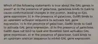 Which of the following statements is true about the GAL genes in yeast? a) In the presence of galactose, galactose binds to Gal4 to cause conformational changes in the protein, leading to GAL gene expression. b) In the presence of galactose, Gal80 binds to an upstream activator sequence to activate GAL gene expression. c) In the presence of galactose, Gal80 binds to Gal4 to activate GAL gene expression. d) In the presence of galactose, Gal80 does not bind to Gal4 and therefore Gal4 activates GAL gene expression. e) In the presence of galactose, Gal4 binds to an upstream silencer sequence to inhibit GAL gene expression.