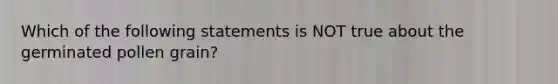 Which of the following statements is NOT true about the germinated pollen grain?