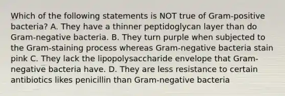 Which of the following statements is NOT true of Gram-positive bacteria? A. They have a thinner peptidoglycan layer than do Gram-negative bacteria. B. They turn purple when subjected to the Gram-staining process whereas Gram-negative bacteria stain pink C. They lack the lipopolysaccharide envelope that Gram-negative bacteria have. D. They are less resistance to certain antibiotics likes penicillin than Gram-negative bacteria