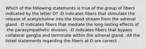 Which of the following statements is true of the group of fibers indicated by the letter D? -D indicates fibers that stimulate the release of acetylcholine into the blood stream from the adrenal gland. -D indicates fibers that mediate the long-lasting effects of -the parasympathetic division. -D indicates fibers that bypass collateral ganglia and terminate within the adrenal gland. -All the listed statements regarding the fibers at D are correct