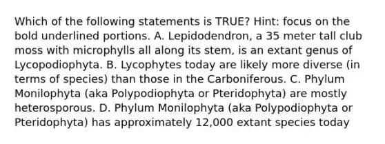 Which of the following statements is TRUE? Hint: focus on the bold underlined portions. A. Lepidodendron, a 35 meter tall club moss with microphylls all along its stem, is an extant genus of Lycopodiophyta. B. Lycophytes today are likely more diverse (in terms of species) than those in the Carboniferous. C. Phylum Monilophyta (aka Polypodiophyta or Pteridophyta) are mostly heterosporous. D. Phylum Monilophyta (aka Polypodiophyta or Pteridophyta) has approximately 12,000 extant species today