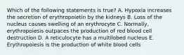 Which of the following statements is true? A. Hypoxia increases the secretion of erythropoietin by the kidneys B. Loss of the nucleus causes swelling of an erythrocyte C. Normally, erythropoiesis outpaces the production of red blood cell destruction D. A reticulocyte has a multilobed nucleus E. Erythropoiesis is the production of white blood cells