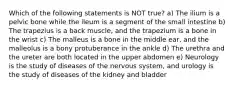 Which of the following statements is NOT true? a) The ilium is a pelvic bone while the ileum is a segment of the small intestine b) The trapezius is a back muscle, and the trapezium is a bone in the wrist c) The malleus is a bone in the middle ear, and the malleolus is a bony protuberance in the ankle d) The urethra and the ureter are both located in the upper abdomen e) Neurology is the study of diseases of the nervous system, and urology is the study of diseases of the kidney and bladder