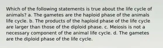 Which of the following statements is true about the life cycle of animals? a. The gametes are the haploid phase of the animals life cycle. b. The products of the haploid phase of the life cycle are larger than those of the diploid phase. c. Meiosis is not a necessary component of the animal life cycle. d. The gametes are the diploid phase of the life cycle.