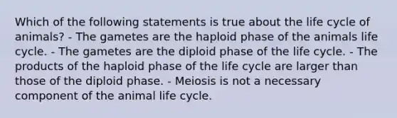 Which of the following statements is true about the life cycle of animals? - The gametes are the haploid phase of the animals life cycle. - The gametes are the diploid phase of the life cycle. - The products of the haploid phase of the life cycle are larger than those of the diploid phase. - Meiosis is not a necessary component of the animal life cycle.