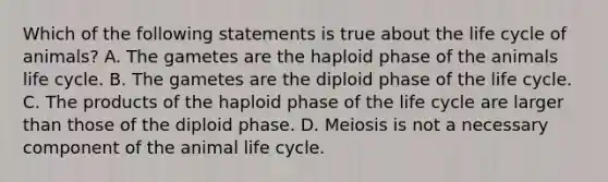 Which of the following statements is true about the life cycle of animals? A. The gametes are the haploid phase of the animals life cycle. B. The gametes are the diploid phase of the life cycle. C. The products of the haploid phase of the life cycle are larger than those of the diploid phase. D. Meiosis is not a necessary component of the animal life cycle.