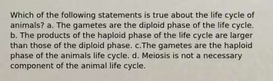 Which of the following statements is true about the life cycle of animals? a. The gametes are the diploid phase of the life cycle. b. The products of the haploid phase of the life cycle are larger than those of the diploid phase. c.The gametes are the haploid phase of the animals life cycle. d. Meiosis is not a necessary component of the animal life cycle.