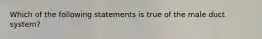 Which of the following statements is true of the male duct system?