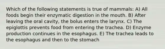 Which of the following statements is true of mammals: A) All foods begin their enzymatic digestion in the mouth. B) After leaving the oral cavity, the bolus enters the larynx. C) The epiglottis prevents food from entering the trachea. D) Enzyme production continues in the esophagus. E) The trachea leads to the esophagus and then to the stomach