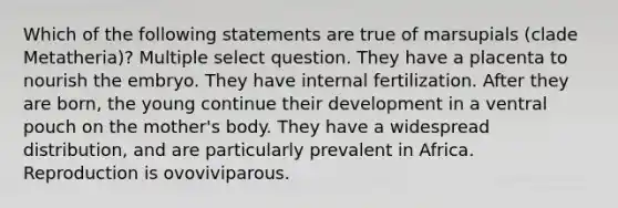 Which of the following statements are true of marsupials (clade Metatheria)? Multiple select question. They have a placenta to nourish the embryo. They have internal fertilization. After they are born, the young continue their development in a ventral pouch on the mother's body. They have a widespread distribution, and are particularly prevalent in Africa. Reproduction is ovoviviparous.