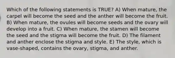 Which of the following statements is TRUE? A) When mature, the carpel will become the seed and the anther will become the fruit. B) When mature, the ovules will become seeds and the ovary will develop into a fruit. C) When mature, the stamen will become the seed and the stigma will become the fruit. D) The filament and anther enclose the stigma and style. E) The style, which is vase-shaped, contains the ovary, stigma, and anther.