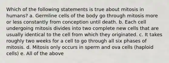 Which of the following statements is true about mitosis in humans? a. Germline cells of the body go through mitosis more or less constantly from conception until death. b. Each cell undergoing mitosis divides into two complete new cells that are usually identical to the cell from which they originated. c. It takes roughly two weeks for a cell to go through all six phases of mitosis. d. Mitosis only occurs in sperm and ova cells (haploid cells) e. All of the above