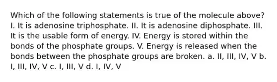 Which of the following statements is true of the molecule above? I. It is adenosine triphosphate. II. It is adenosine diphosphate. III. It is the usable form of energy. IV. Energy is stored within the bonds of the phosphate groups. V. Energy is released when the bonds between the phosphate groups are broken. a. II, III, IV, V b. I, III, IV, V c. I, III, V d. I, IV, V