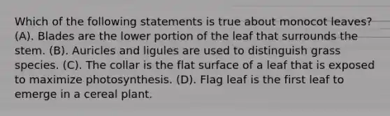 Which of the following statements is true about monocot leaves? (A). Blades are the lower portion of the leaf that surrounds the stem. (B). Auricles and ligules are used to distinguish grass species. (C). The collar is the flat surface of a leaf that is exposed to maximize photosynthesis. (D). Flag leaf is the first leaf to emerge in a cereal plant.