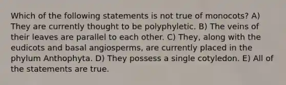 Which of the following statements is not true of monocots? A) They are currently thought to be polyphyletic. B) The veins of their leaves are parallel to each other. C) They, along with the eudicots and basal angiosperms, are currently placed in the phylum Anthophyta. D) They possess a single cotyledon. E) All of the statements are true.