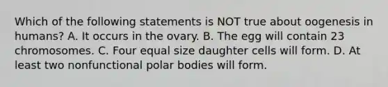 Which of the following statements is NOT true about oogenesis in humans? A. It occurs in the ovary. B. The egg will contain 23 chromosomes. C. Four equal size daughter cells will form. D. At least two nonfunctional polar bodies will form.