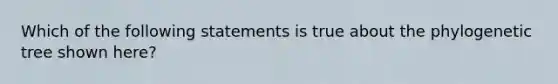 Which of the following statements is true about the phylogenetic tree shown here?