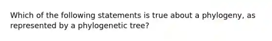 Which of the following statements is true about a phylogeny, as represented by a phylogenetic tree?