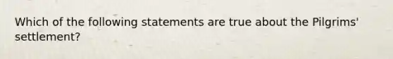 Which of the following statements are true about the Pilgrims' settlement?