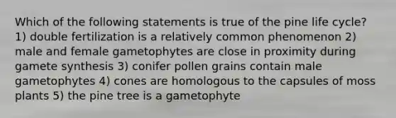 Which of the following statements is true of the pine life cycle? 1) double fertilization is a relatively common phenomenon 2) male and female gametophytes are close in proximity during gamete synthesis 3) conifer pollen grains contain male gametophytes 4) cones are homologous to the capsules of moss plants 5) the pine tree is a gametophyte