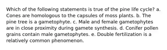 Which of the following statements is true of the pine life cycle? a. Cones are homologous to the capsules of moss plants. b. The pine tree is a gametophyte. c. Male and female gametophytes are in close proximity during gamete synthesis. d. Conifer pollen grains contain male gametophytes. e. Double fertilization is a relatively common phenomenon.