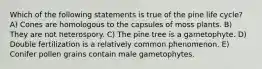 Which of the following statements is true of the pine life cycle? A) Cones are homologous to the capsules of moss plants. B) They are not heterospory. C) The pine tree is a gametophyte. D) Double fertilization is a relatively common phenomenon. E) Conifer pollen grains contain male gametophytes.