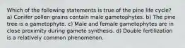 Which of the following statements is true of the pine life cycle? a) Conifer pollen grains contain male gametophytes. b) The pine tree is a gametophyte. c) Male and female gametophytes are in close proximity during gamete synthesis. d) Double fertilization is a relatively common phenomenon.