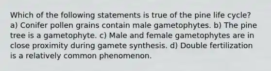 Which of the following statements is true of the pine life cycle? a) Conifer pollen grains contain male gametophytes. b) The pine tree is a gametophyte. c) Male and female gametophytes are in close proximity during gamete synthesis. d) Double fertilization is a relatively common phenomenon.