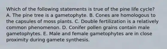 Which of the following statements is true of the pine life cycle? A. The pine tree is a gametophyte. B. Cones are homologous to the capsules of moss plants. C. Double fertilization is a relatively common phenomenon. D. Conifer pollen grains contain male gametophytes. E. Male and female gametophytes are in close proximity during gamete synthesis.