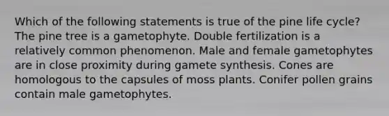 Which of the following statements is true of the pine life cycle? The pine tree is a gametophyte. Double fertilization is a relatively common phenomenon. Male and female gametophytes are in close proximity during gamete synthesis. Cones are homologous to the capsules of moss plants. Conifer pollen grains contain male gametophytes.