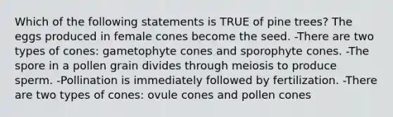 Which of the following statements is TRUE of pine trees? The eggs produced in female cones become the seed. -There are two types of cones: gametophyte cones and sporophyte cones. -The spore in a pollen grain divides through meiosis to produce sperm. -Pollination is immediately followed by fertilization. -There are two types of cones: ovule cones and pollen cones