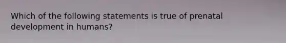 Which of the following statements is true of prenatal development in humans?