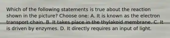 Which of the following statements is true about the reaction shown in the picture? Choose one: A. It is known as the electron transport chain. B. It takes place in the thylakoid membrane. C. It is driven by enzymes. D. It directly requires an input of light.