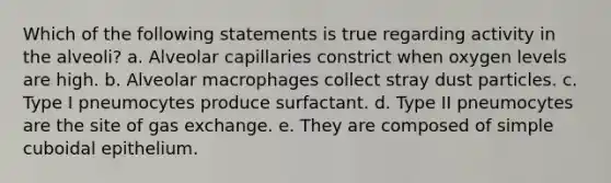 Which of the following statements is true regarding activity in the alveoli? a. Alveolar capillaries constrict when oxygen levels are high. b. Alveolar macrophages collect stray dust particles. c. Type I pneumocytes produce surfactant. d. Type II pneumocytes are the site of gas exchange. e. They are composed of simple cuboidal epithelium.