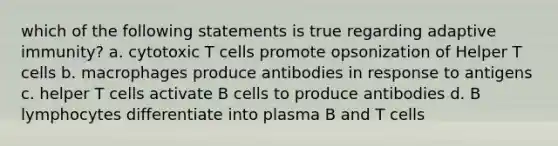 which of the following statements is true regarding adaptive immunity? a. cytotoxic T cells promote opsonization of Helper T cells b. macrophages produce antibodies in response to antigens c. helper T cells activate B cells to produce antibodies d. B lymphocytes differentiate into plasma B and T cells