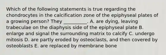 Which of the following statements is true regarding the chondrocytes in the calcification zone of the epiphyseal plates of a growing person? They __________. A. are dying, leaving trabeculae on the diaphysis side of the epiphyseal plate B. enlarge and signal the surrounding matrix to calcify C. undergo mitosis D. are partly eroded by osteoclasts, and then covered by osteoblasts E. are replaced by membrane bone