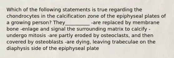 Which of the following statements is true regarding the chondrocytes in the calcification zone of the epiphyseal plates of a growing person? They__________ -are replaced by membrane bone -enlage and signal the surrounding matrix to calcify -undergo mitosis -are partly eroded by osteoclasts, and then covered by osteoblasts -are dying, leaving trabeculae on the diaphysis side of the epiphyseal plate