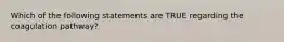 Which of the following statements are TRUE regarding the coagulation pathway?