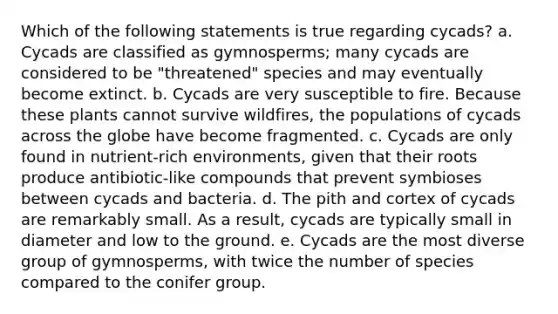 Which of the following statements is true regarding cycads? a. Cycads are classified as gymnosperms; many cycads are considered to be "threatened" species and may eventually become extinct. b. Cycads are very susceptible to fire. Because these plants cannot survive wildfires, the populations of cycads across the globe have become fragmented. c. Cycads are only found in nutrient-rich environments, given that their roots produce antibiotic-like compounds that prevent symbioses between cycads and bacteria. d. The pith and cortex of cycads are remarkably small. As a result, cycads are typically small in diameter and low to the ground. e. Cycads are the most diverse group of gymnosperms, with twice the number of species compared to the conifer group.