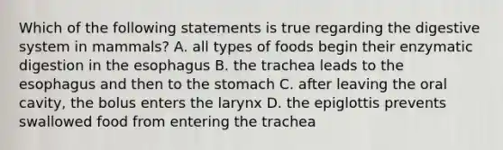 Which of the following statements is true regarding the digestive system in mammals? A. all types of foods begin their enzymatic digestion in the esophagus B. the trachea leads to the esophagus and then to the stomach C. after leaving the oral cavity, the bolus enters the larynx D. the epiglottis prevents swallowed food from entering the trachea