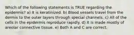 Which of the following statements is TRUE regarding the epidermis? a) It is keratinized. b) Blood vessels travel from the dermis to the outer layers through special channels. c) All of the cells in the epidermis reproduce rapidly. d) It is made mostly of areolar connective tissue. e) Both A and C are correct.