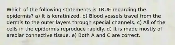 Which of the following statements is TRUE regarding the epidermis? a) It is keratinized. b) Blood vessels travel from the dermis to the outer layers through special channels. c) All of the cells in the epidermis reproduce rapidly. d) It is made mostly of areolar connective tissue. e) Both A and C are correct.