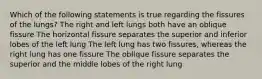 Which of the following statements is true regarding the fissures of the lungs? The right and left lungs both have an oblique fissure The horizontal fissure separates the superior and inferior lobes of the left lung The left lung has two fissures, whereas the right lung has one fissure The oblique fissure separates the superior and the middle lobes of the right lung