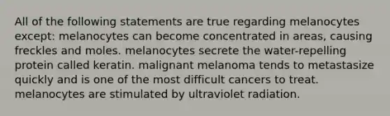 All of the following statements are true regarding melanocytes except: melanocytes can become concentrated in areas, causing freckles and moles. melanocytes secrete the water-repelling protein called keratin. malignant melanoma tends to metastasize quickly and is one of the most difficult cancers to treat. melanocytes are stimulated by ultraviolet radiation.