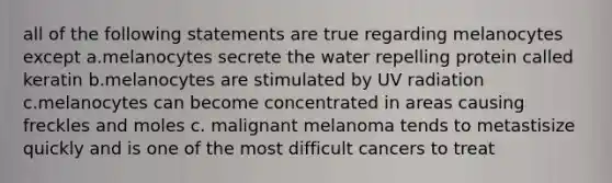 all of the following statements are true regarding melanocytes except a.melanocytes secrete the water repelling protein called keratin b.melanocytes are stimulated by UV radiation c.melanocytes can become concentrated in areas causing freckles and moles c. malignant melanoma tends to metastisize quickly and is one of the most difficult cancers to treat